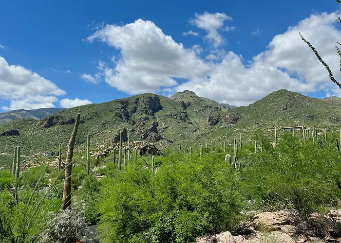 Magical, Private, High-end, Mountain-top Estate *